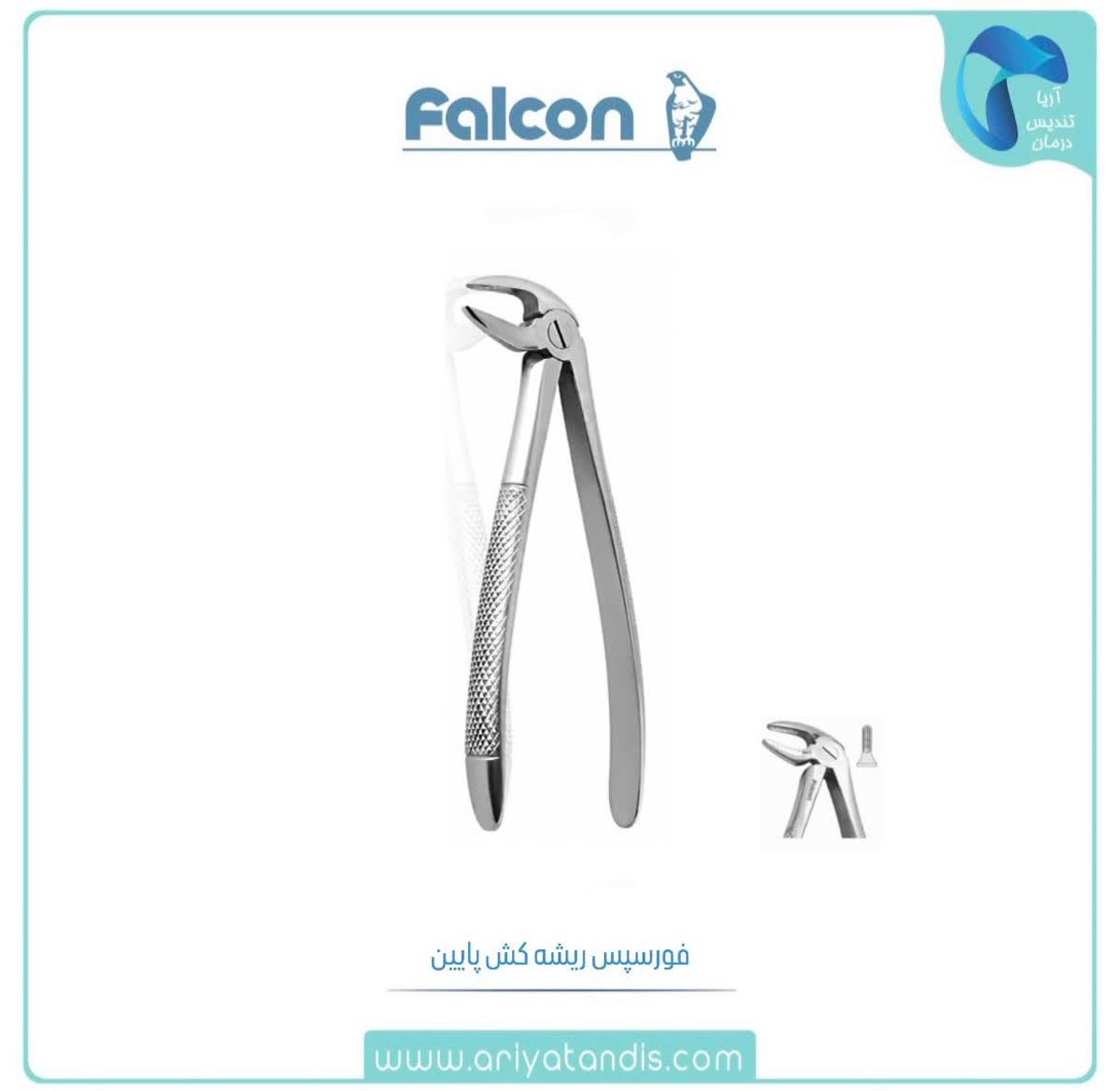 فورسپس ریشه کش پایین فالکن Falcon