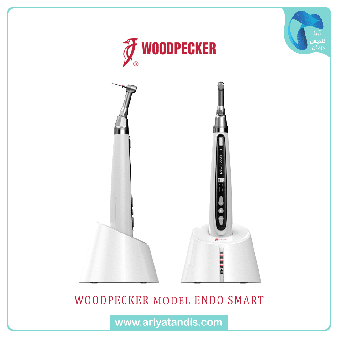 دستگاه روتاری WOODPECKER مدل ENDO SMART