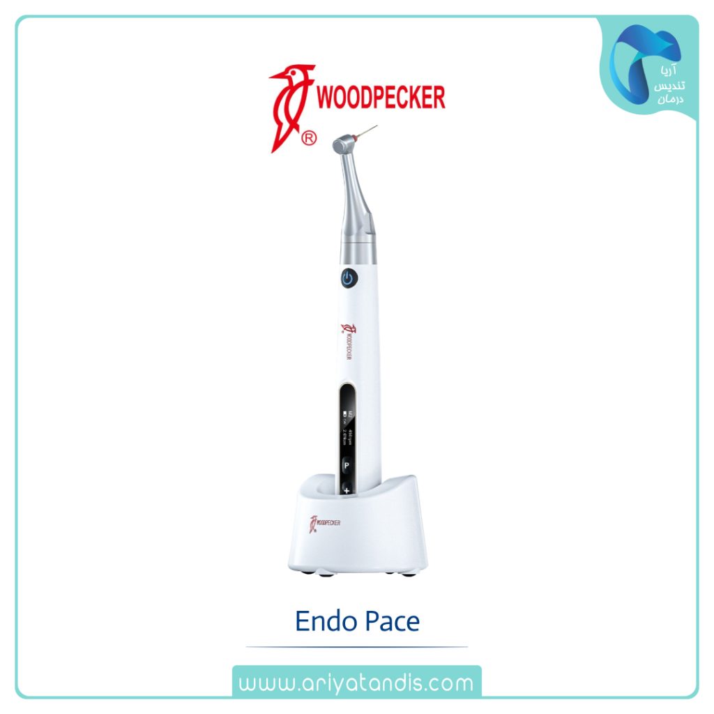 روتاری وودپیکر WoodPecker Endo pace