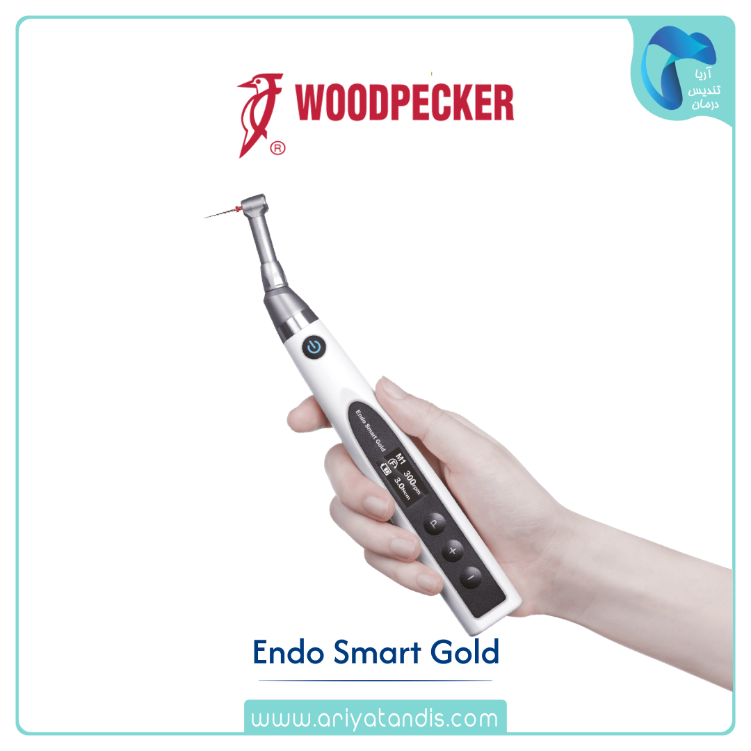 Endo Smart Gold وودپیکر