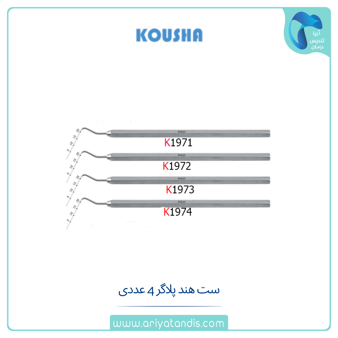 ست هند پلاگر 4عددی کوشا Kousha