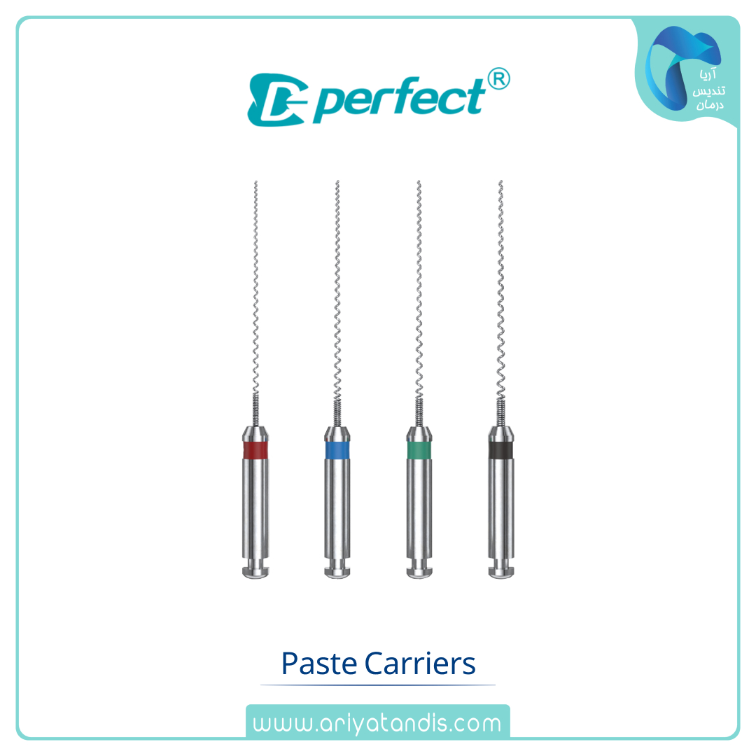 لنتولو پرفکت Paste Carriers (Lentulo) Perfect